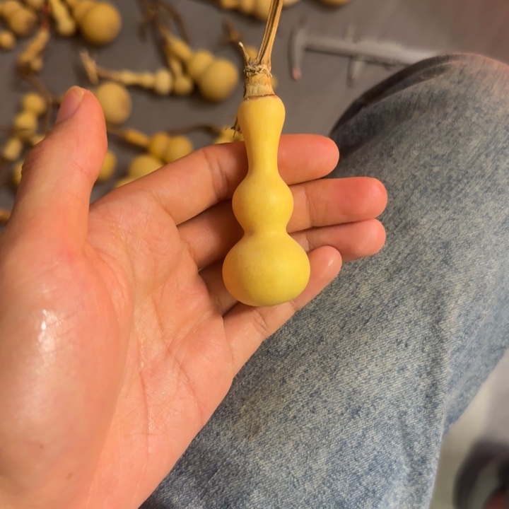 &***’大叶紫檀（黑酸枝木类）