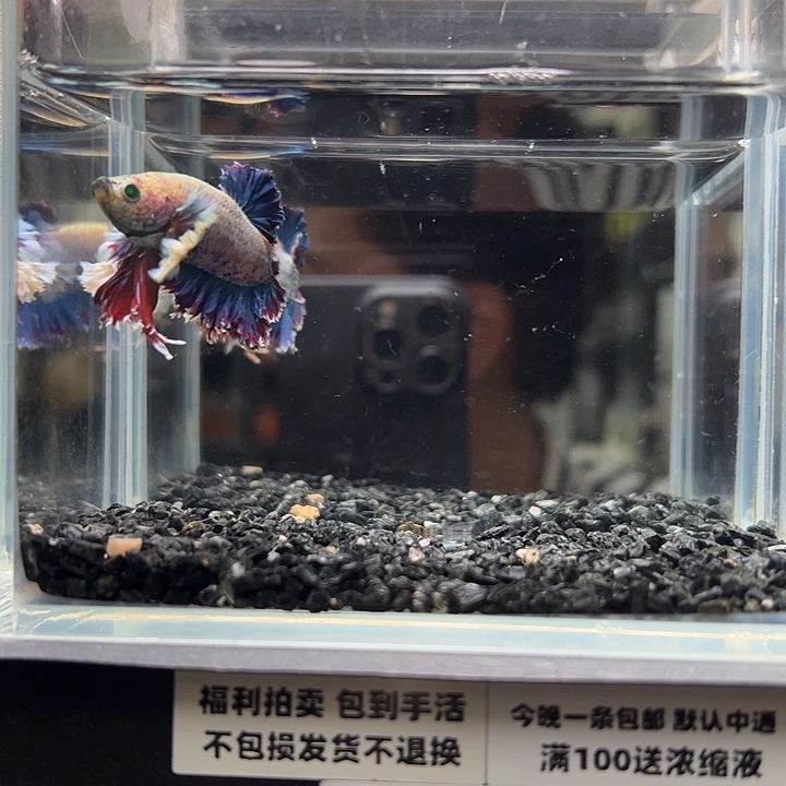 斗鱼跑单拉黑11日55