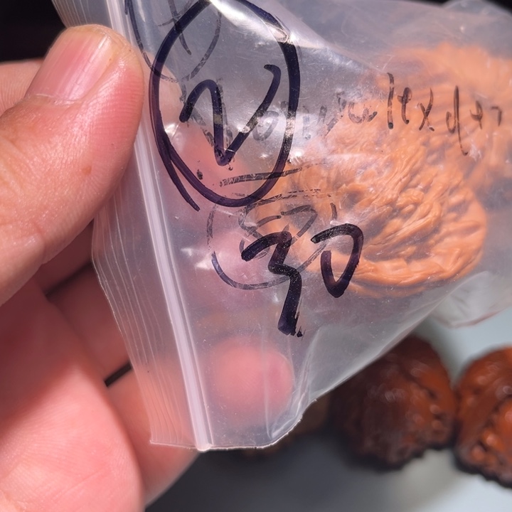 Y***y文玩核桃吊坠2呃呃呃呃