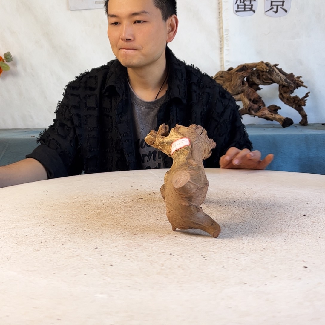 沉木造景爬宠造景