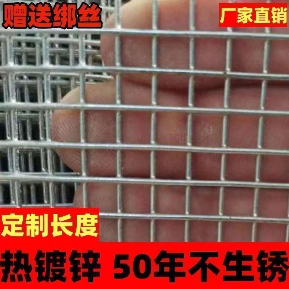 热镀锌铁丝电焊网片防护建筑用网格养殖隔离网加粗钢丝围栏铁丝网