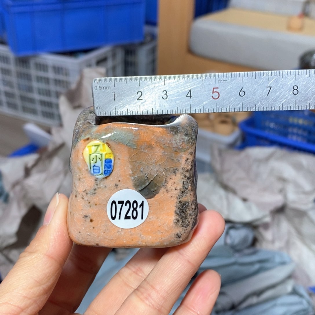 花盆拍3送一个小礼物