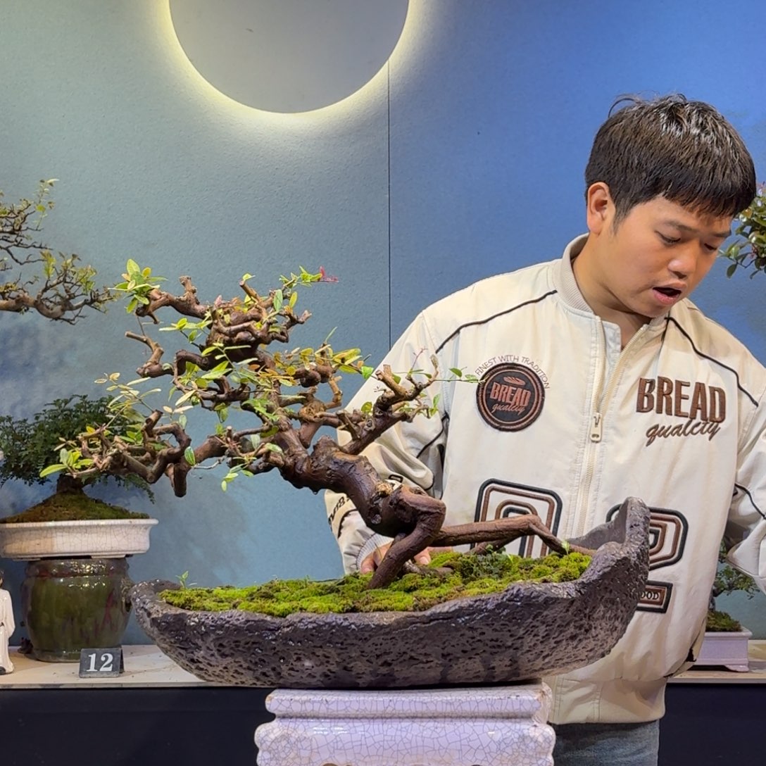 古***术无花朵山桔一物一拍