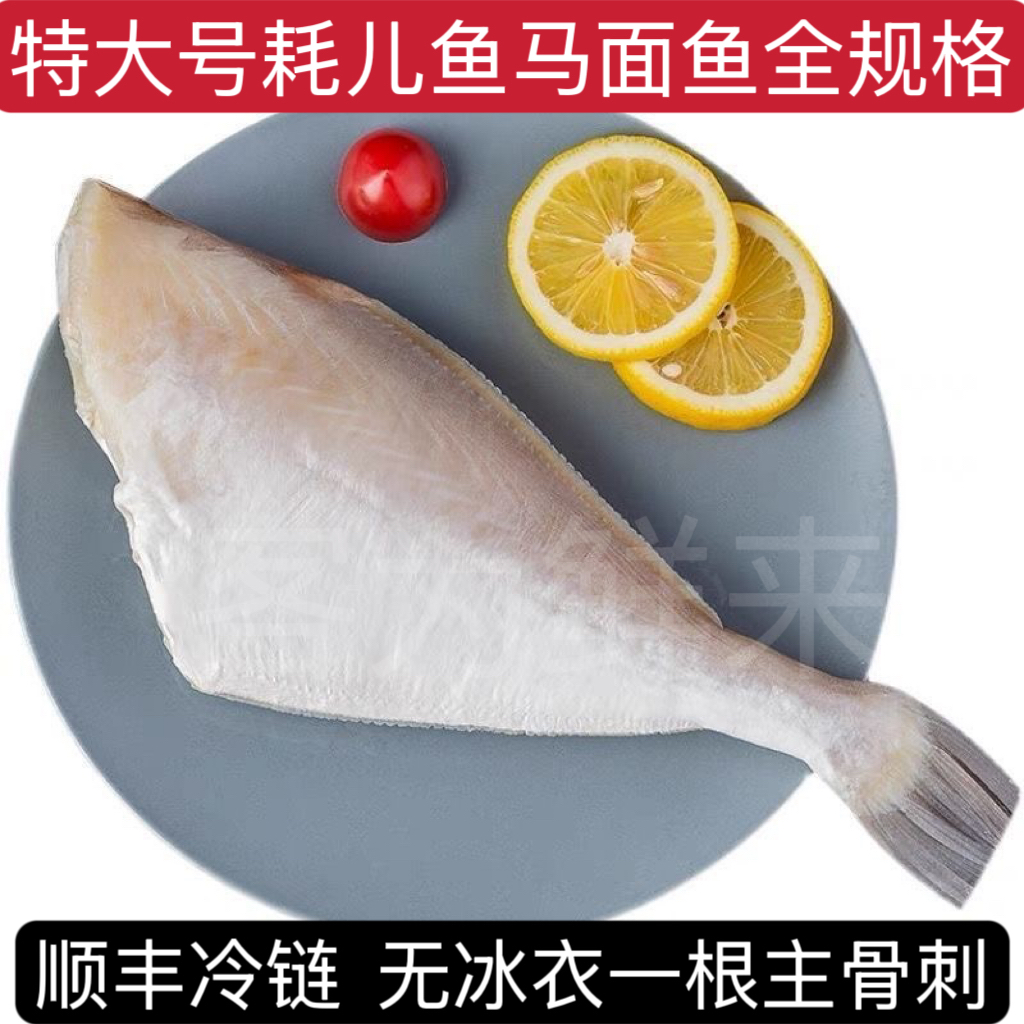 大号马面鱼去头去皮去内脏耗儿鱼扒皮鱼马面鱼火锅食材包邮