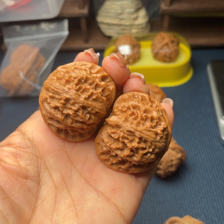 核桃41宫灯8888888