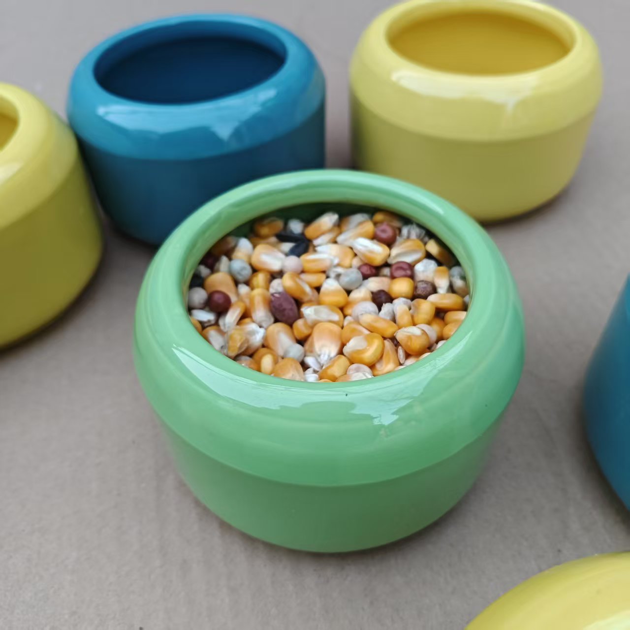 鸽子加厚彩色食罐