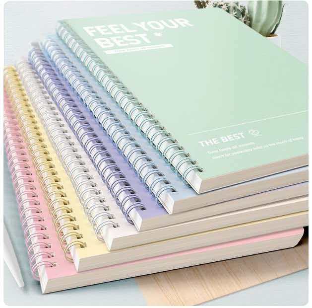 8988  ZNL  瓜子本册