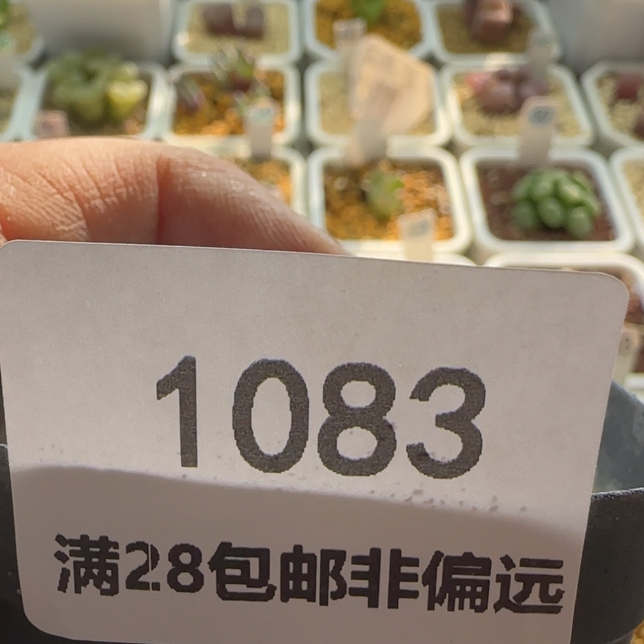 【闪购商品】爱***的1083       