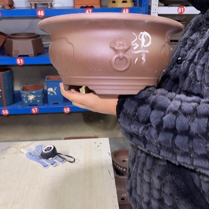 紫砂花盆紫砂花茶