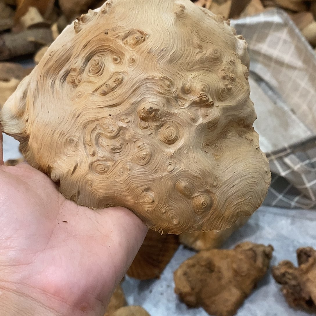 3***治荔枝木荔枝木原料