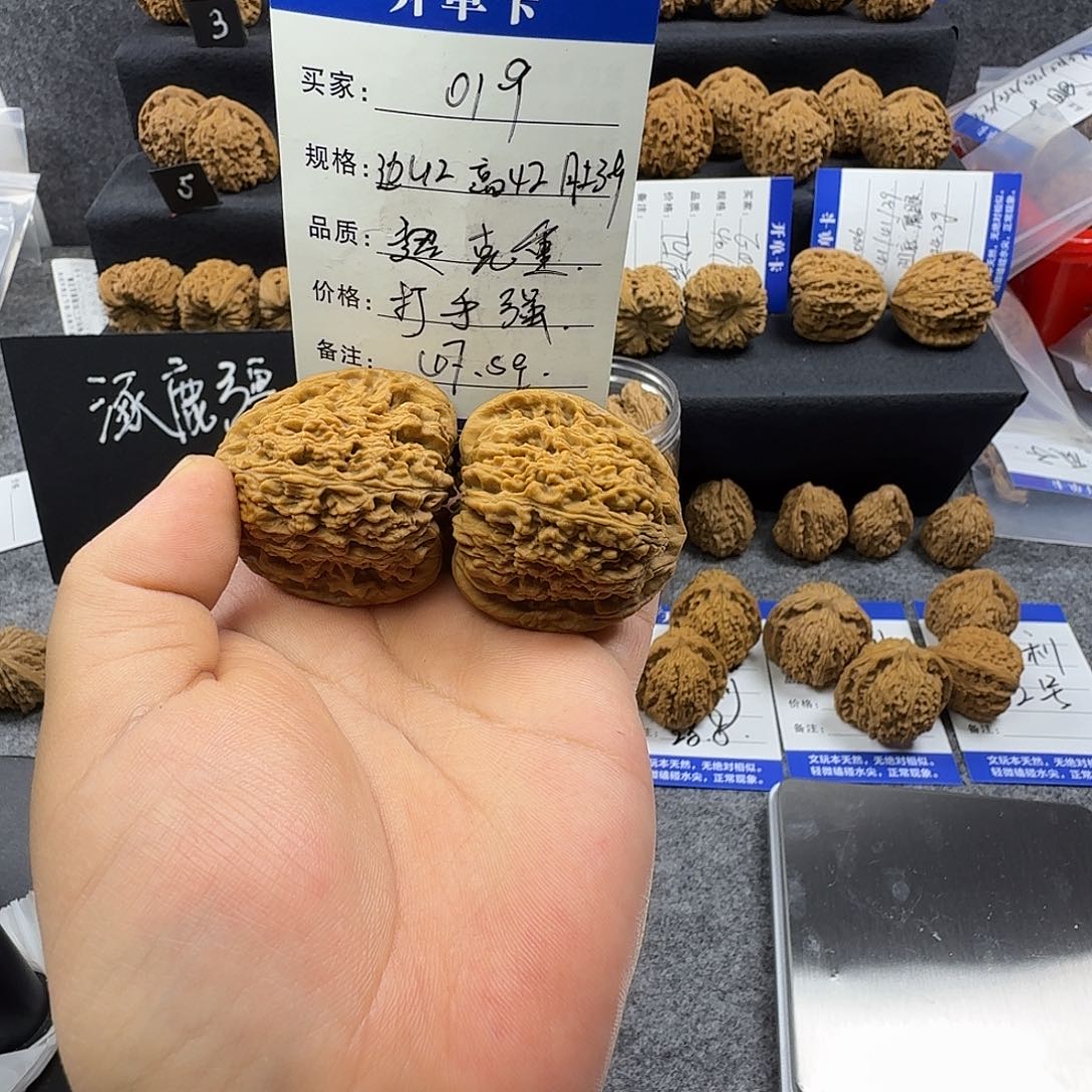 核桃019 42尺中桩高克重