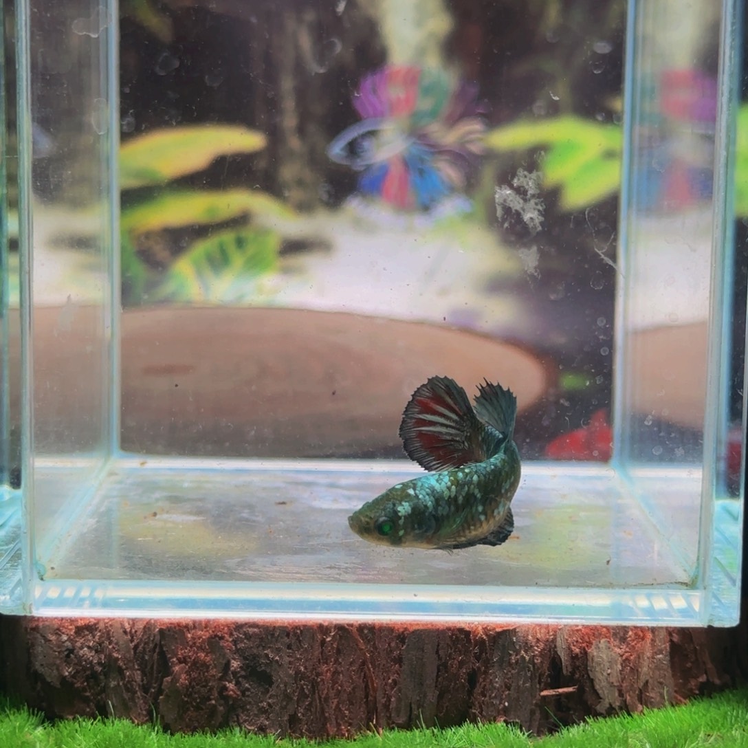 海水你们说这个问题不是什么时候