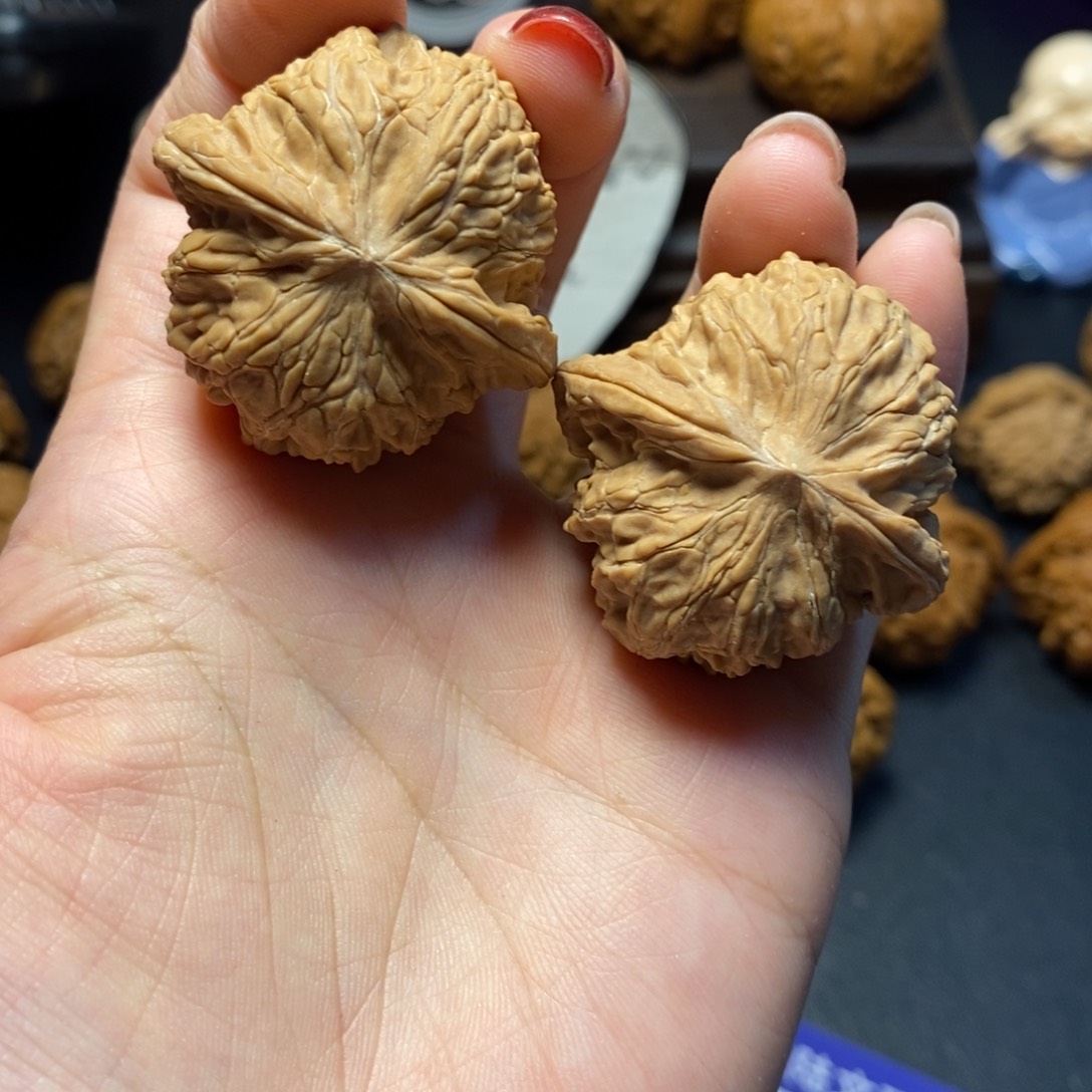 文玩核桃把件14号山地磨盘37尺全品