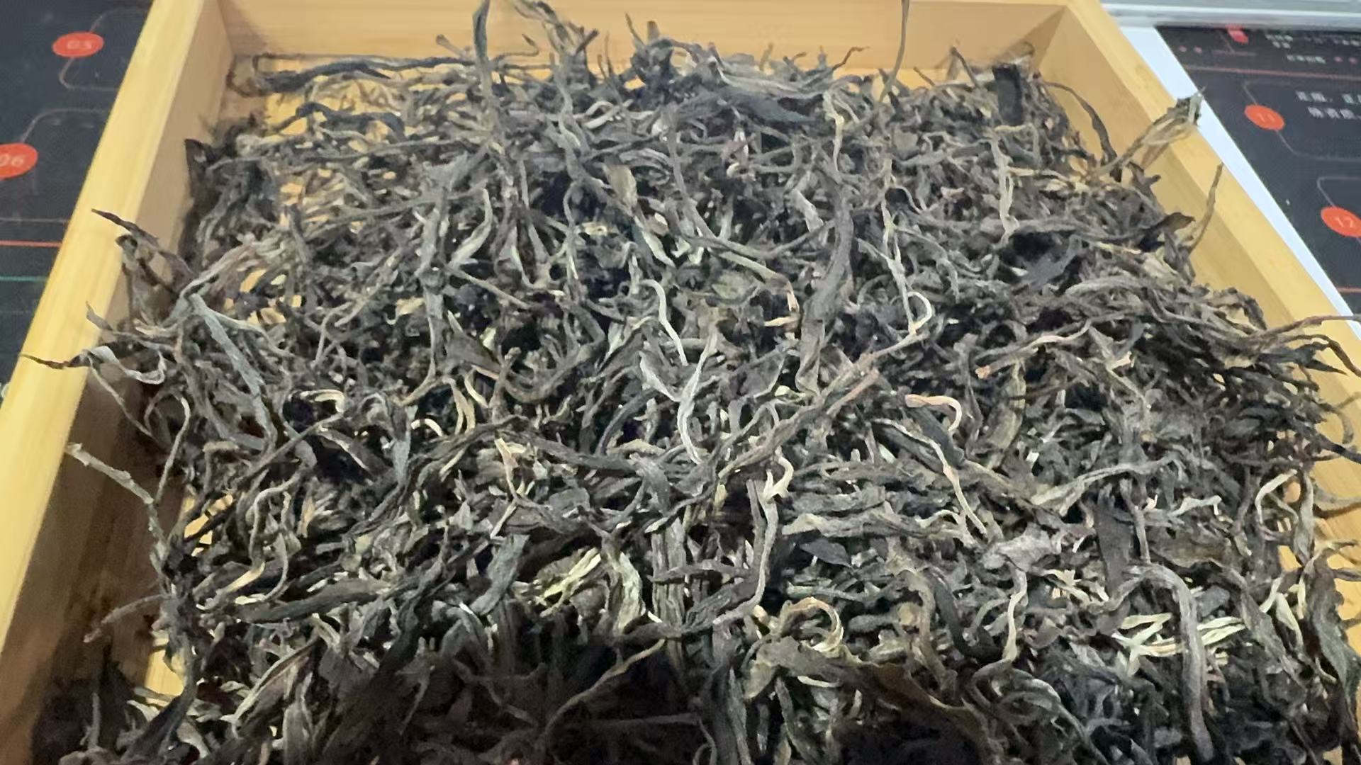 2023【天门山】500g散茶 普洱生茶
