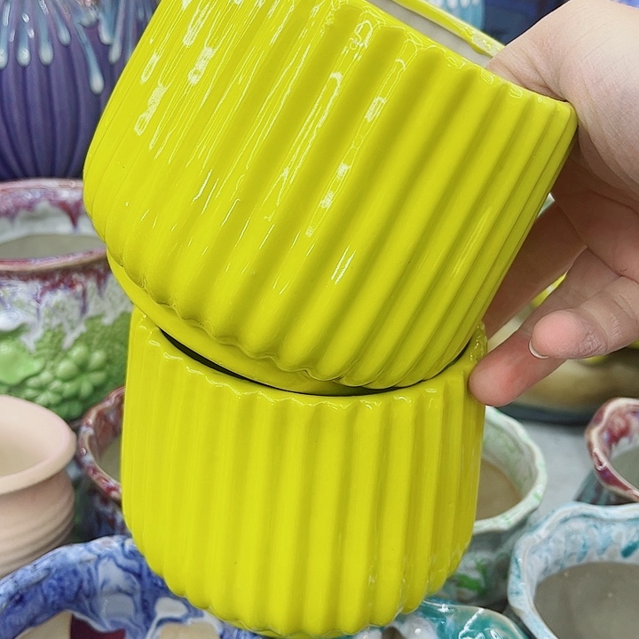 多肉植物陶瓷花盆