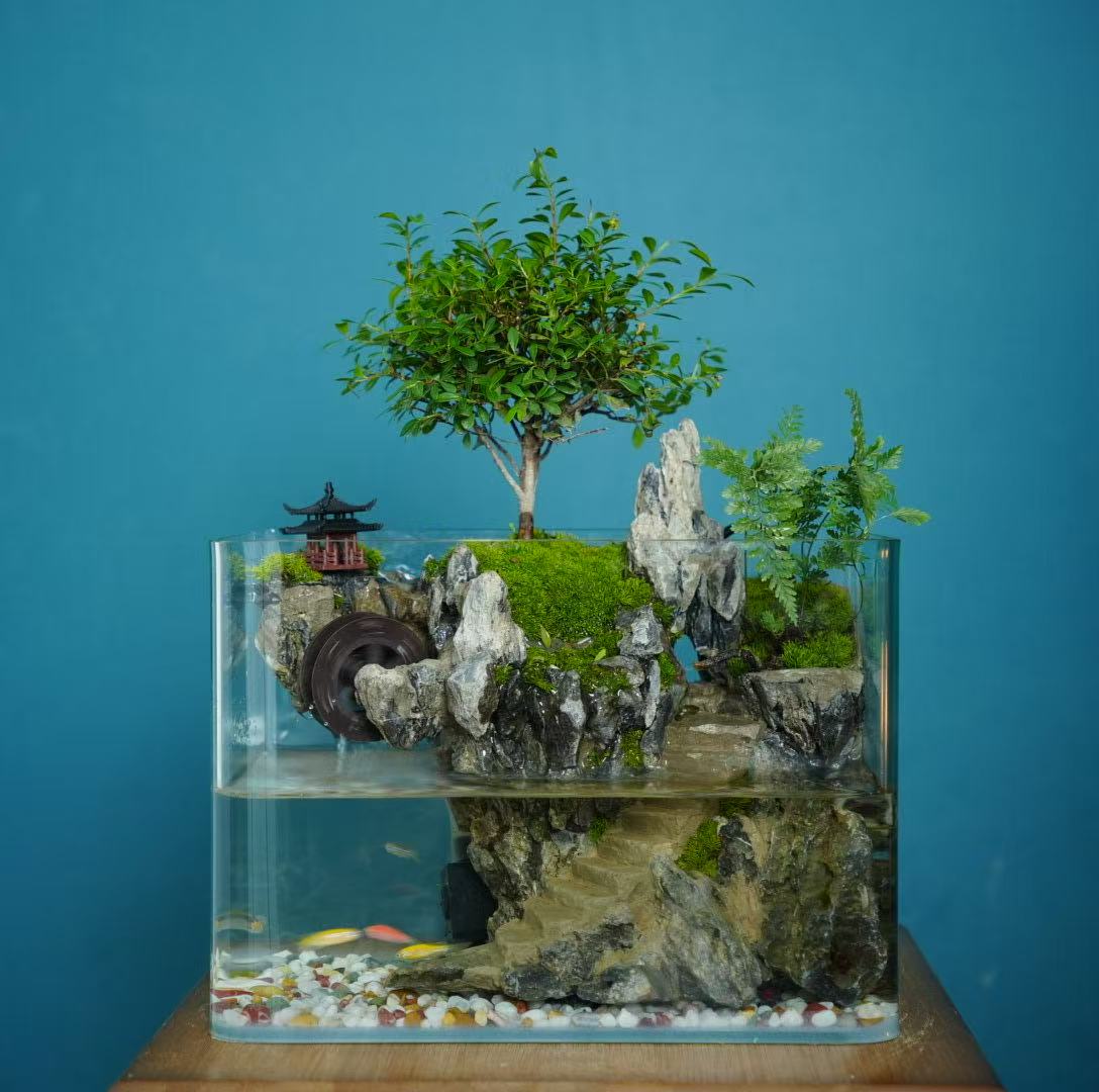 曲径通幽-25×16×18微景观可养鱼真石头山水绿植造景桌面创意景观
