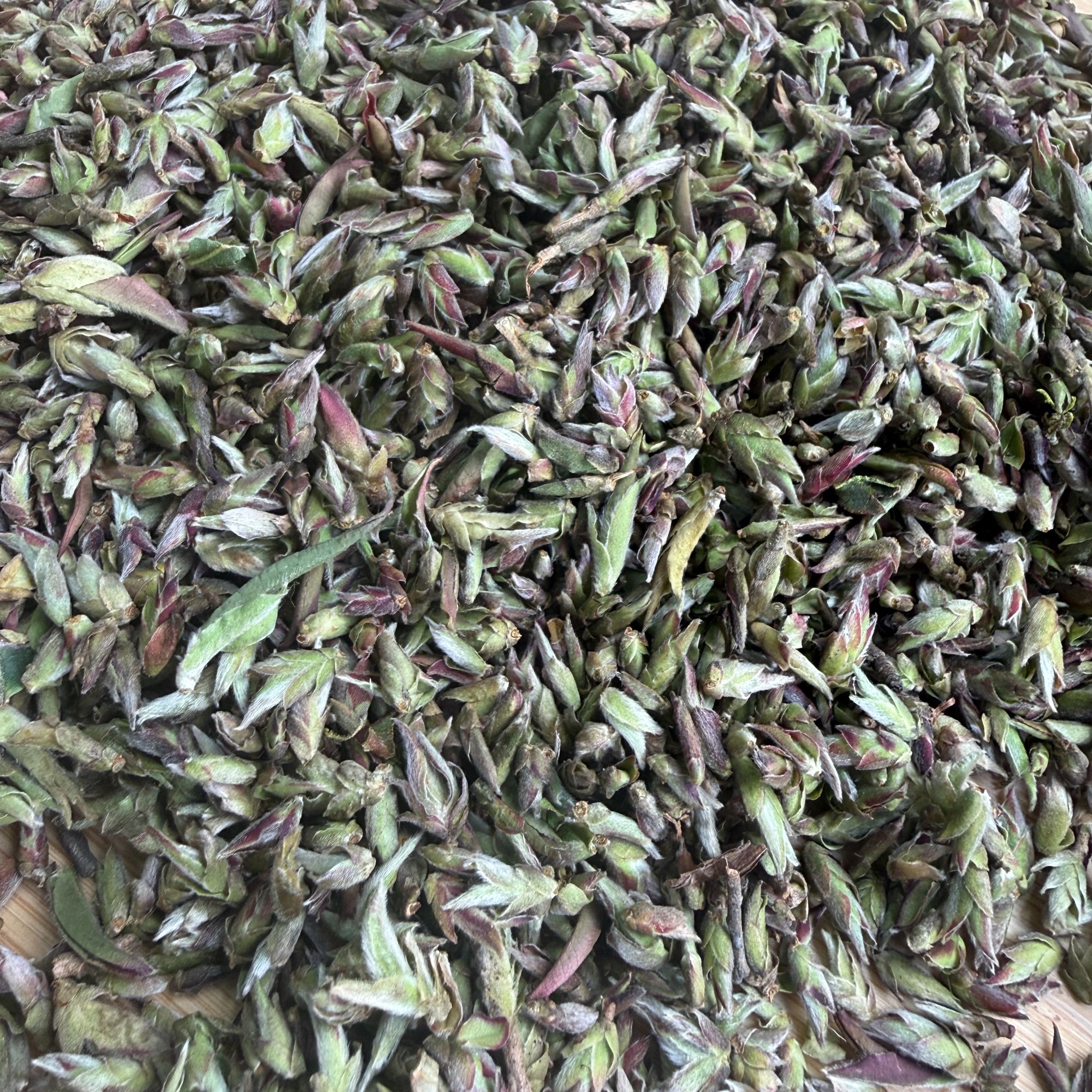 2025年邦东大雪山白茶芽孢散茶100克12月24日（小号）-【13号品】