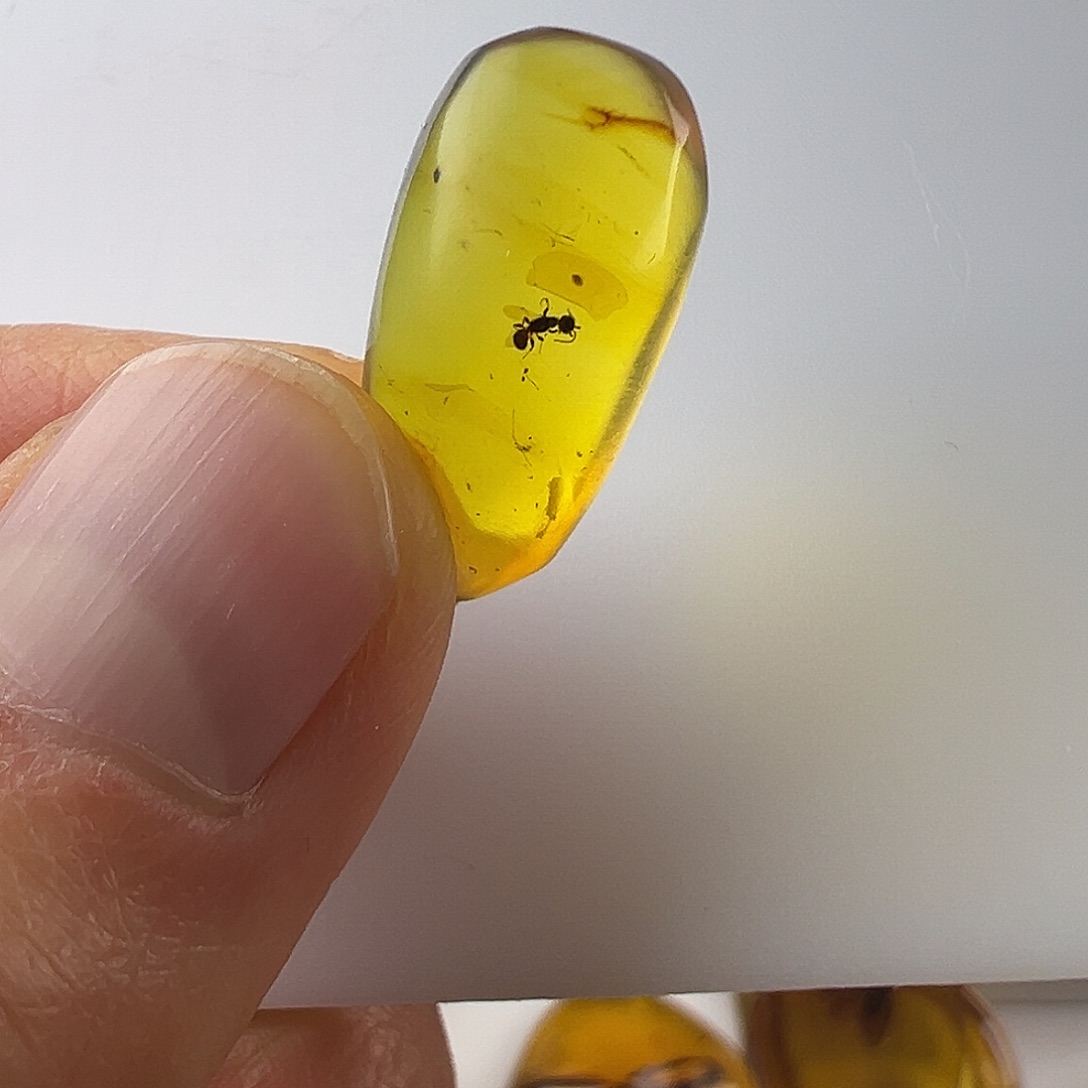 琥珀裸石未镶嵌琥珀虫珀