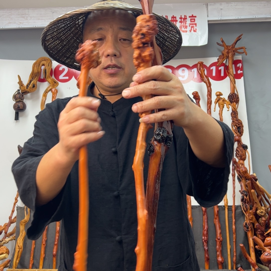 黑果木其他黑果木529