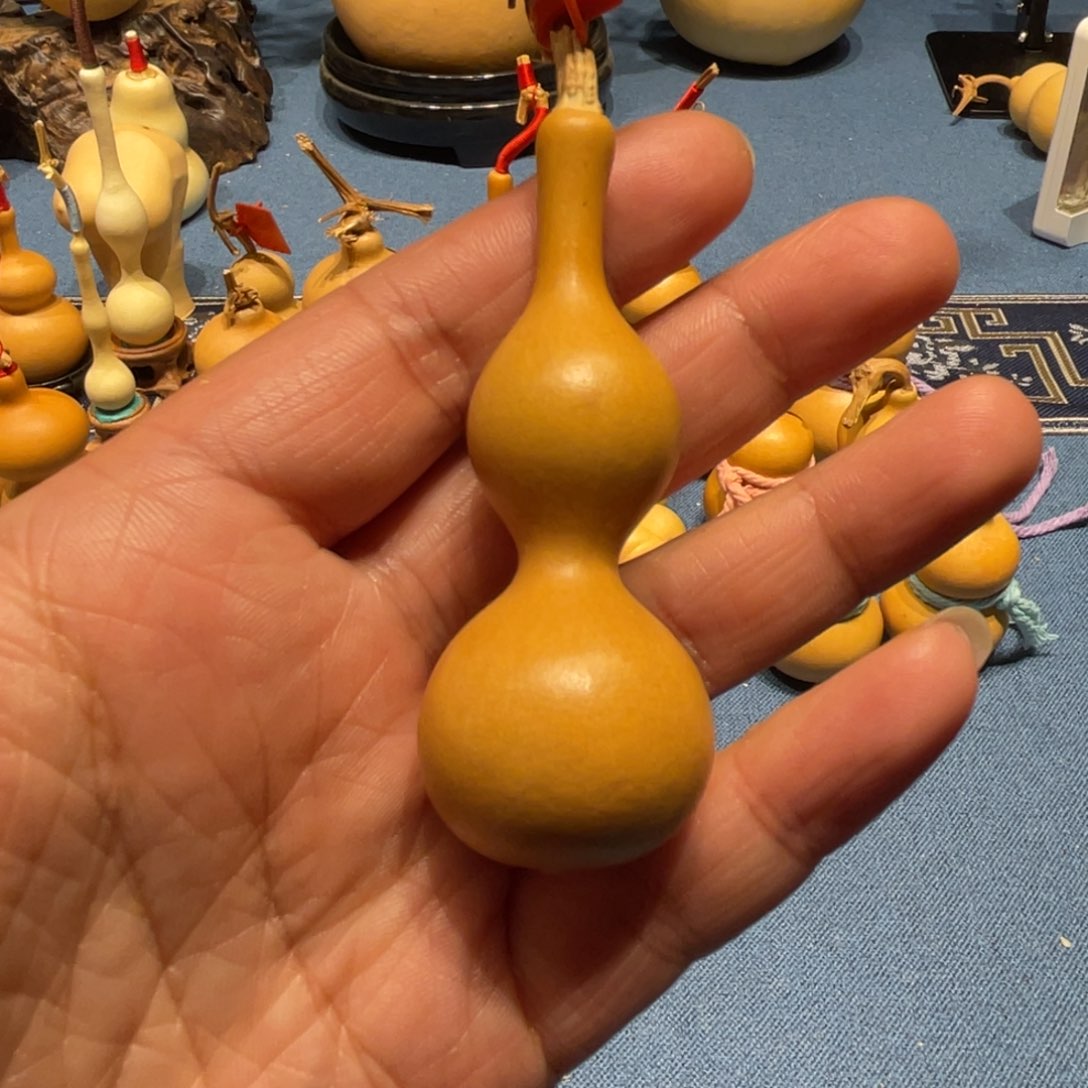 木V****)葫芦等经济林木生长在高山