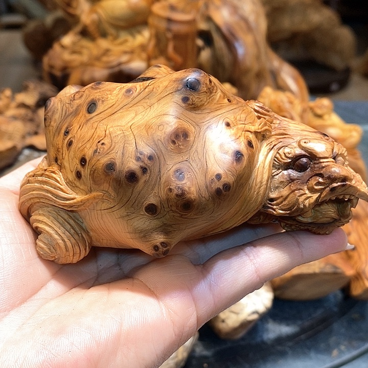 柏木（崖柏）太行崖柏