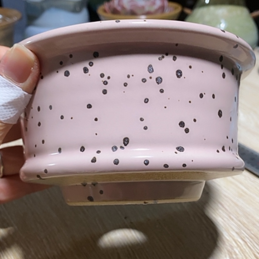 【闪购商品】红陶口12