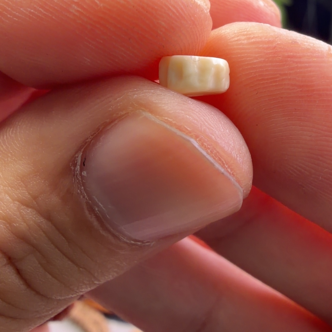 柏香籽/百香籽吊坠