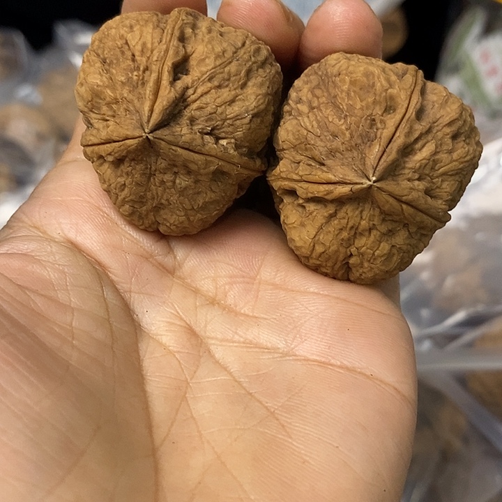 核桃云南铁核桃基地51