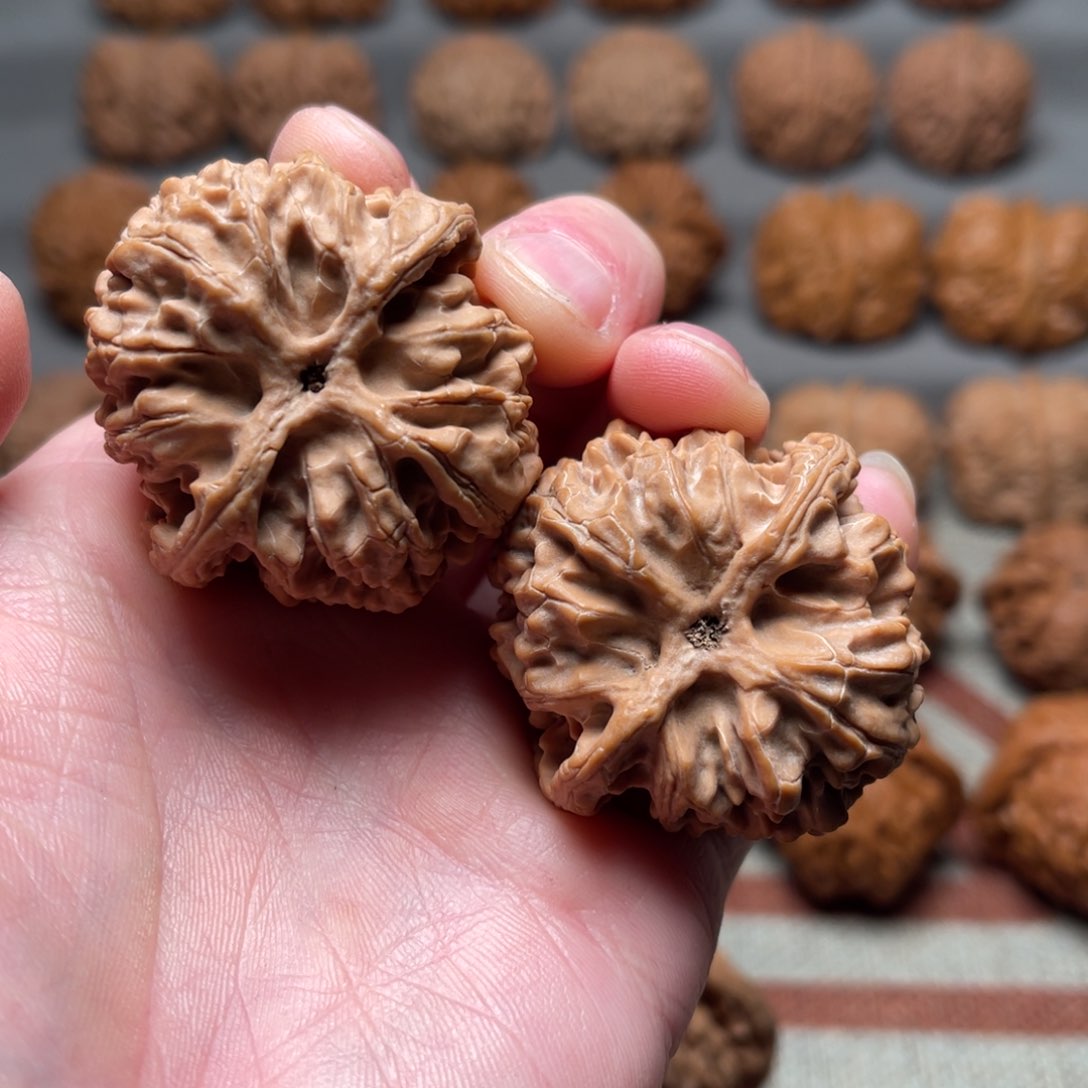 文玩核桃把件42苹果