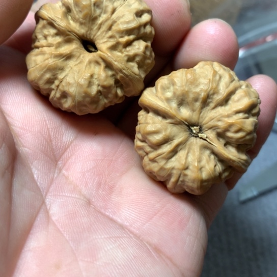 文玩核桃吊坠练手蛙