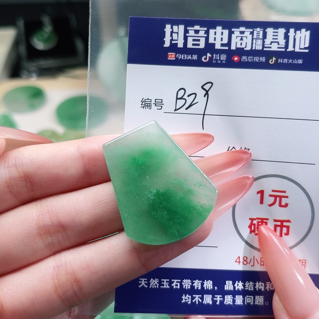 石英质玉未镶嵌颈饰