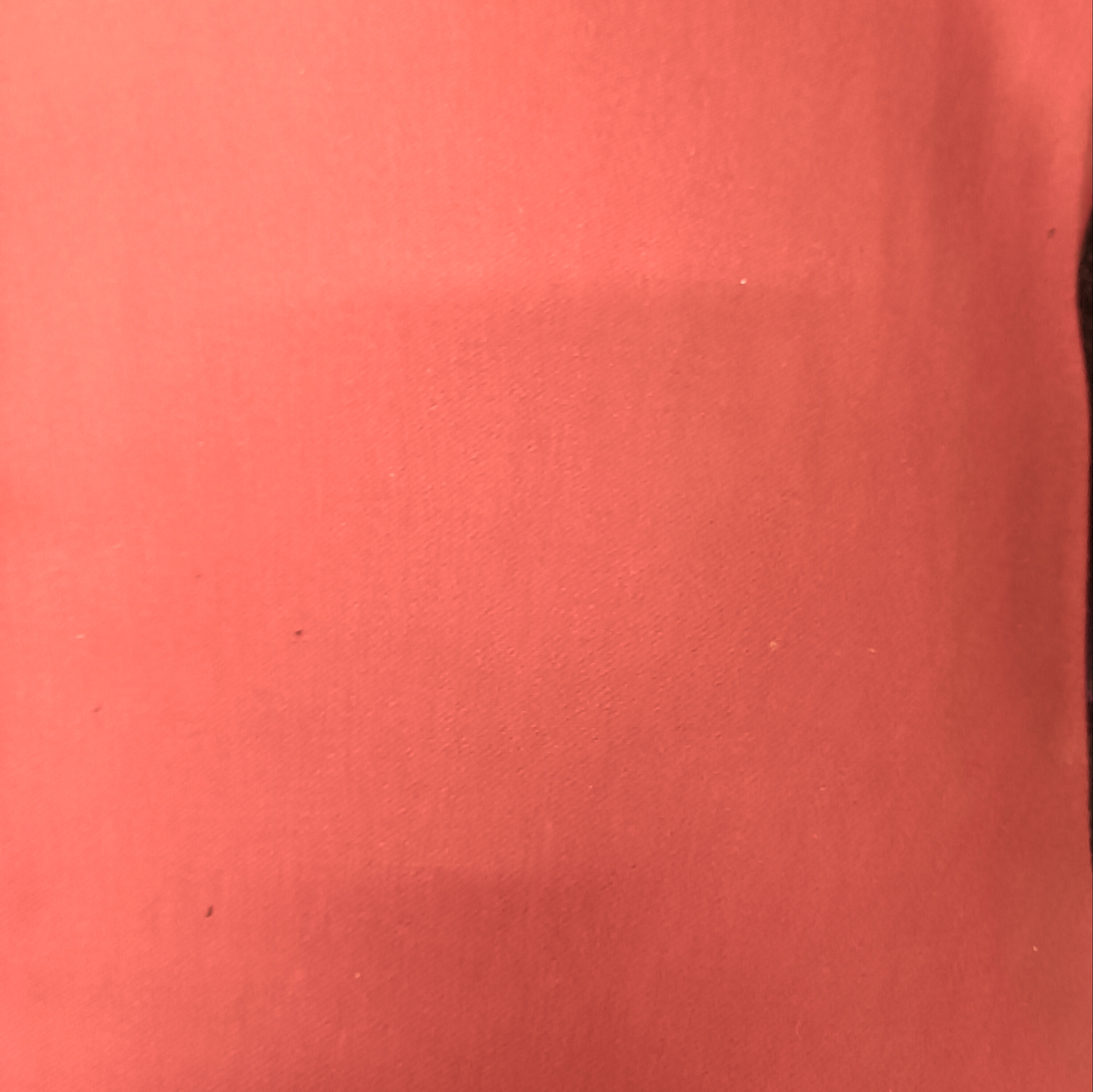 安哥拉红色羊毛面料可做裤子西装外套