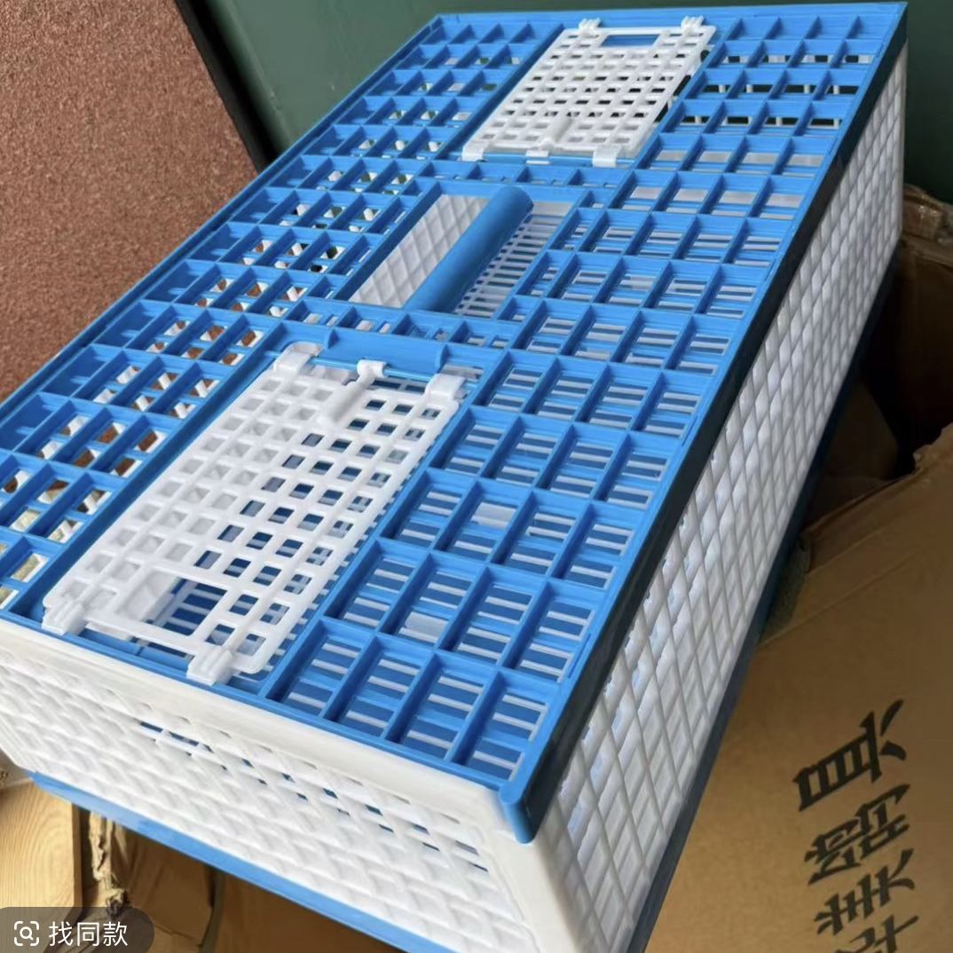 新款72x42x23塑料加厚训放笼适合鸽子放飞