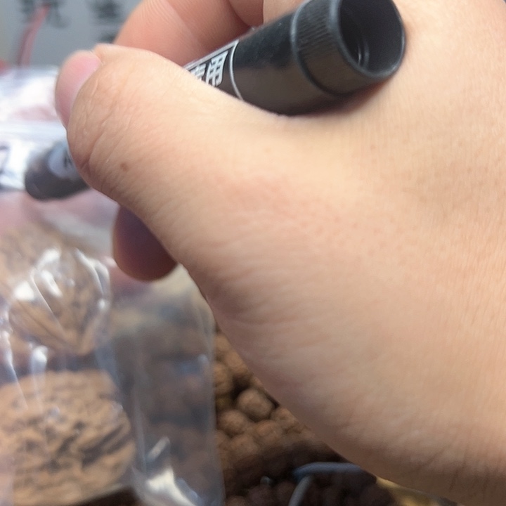 金刚菩提吊坠马****奇南疆