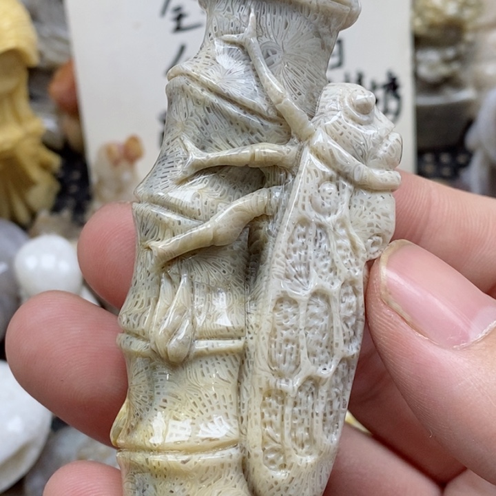 颈饰未镶嵌硅化珊瑚（珊瑚玉）