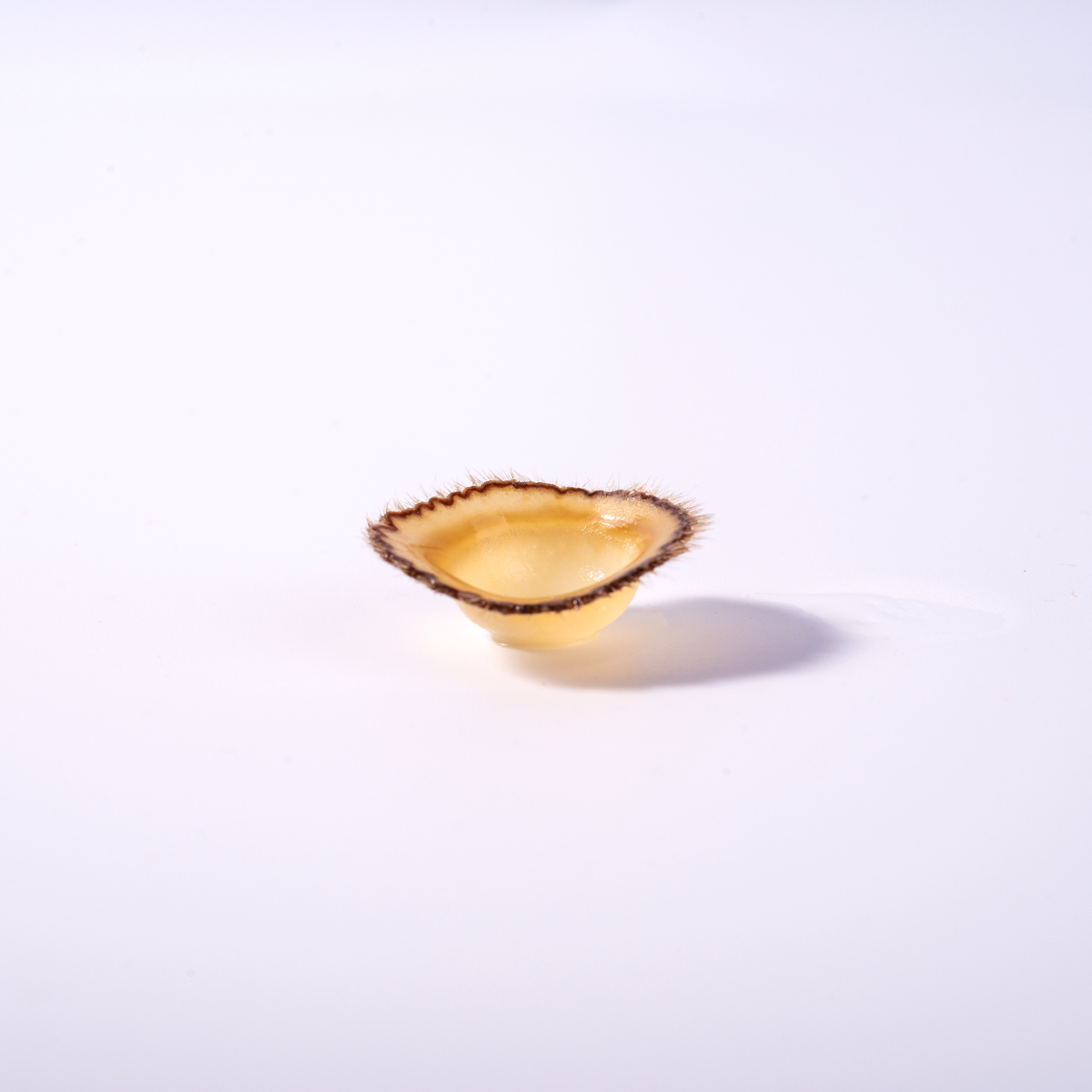 东北特产-鹿茸梅花鹿头茬片鹿茸片泡水煲汤煮粥足干10g