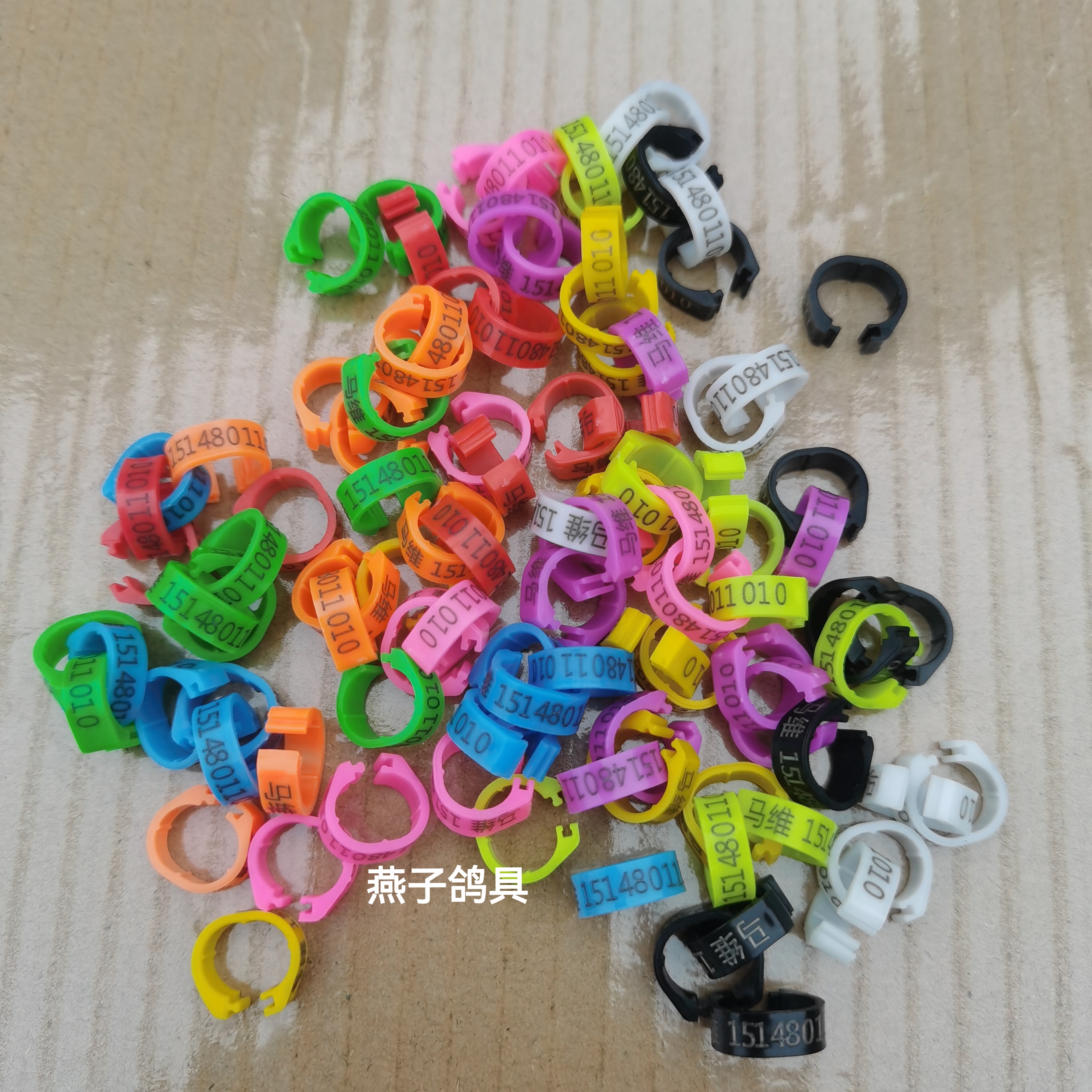 私人定制款信鸽塑料环