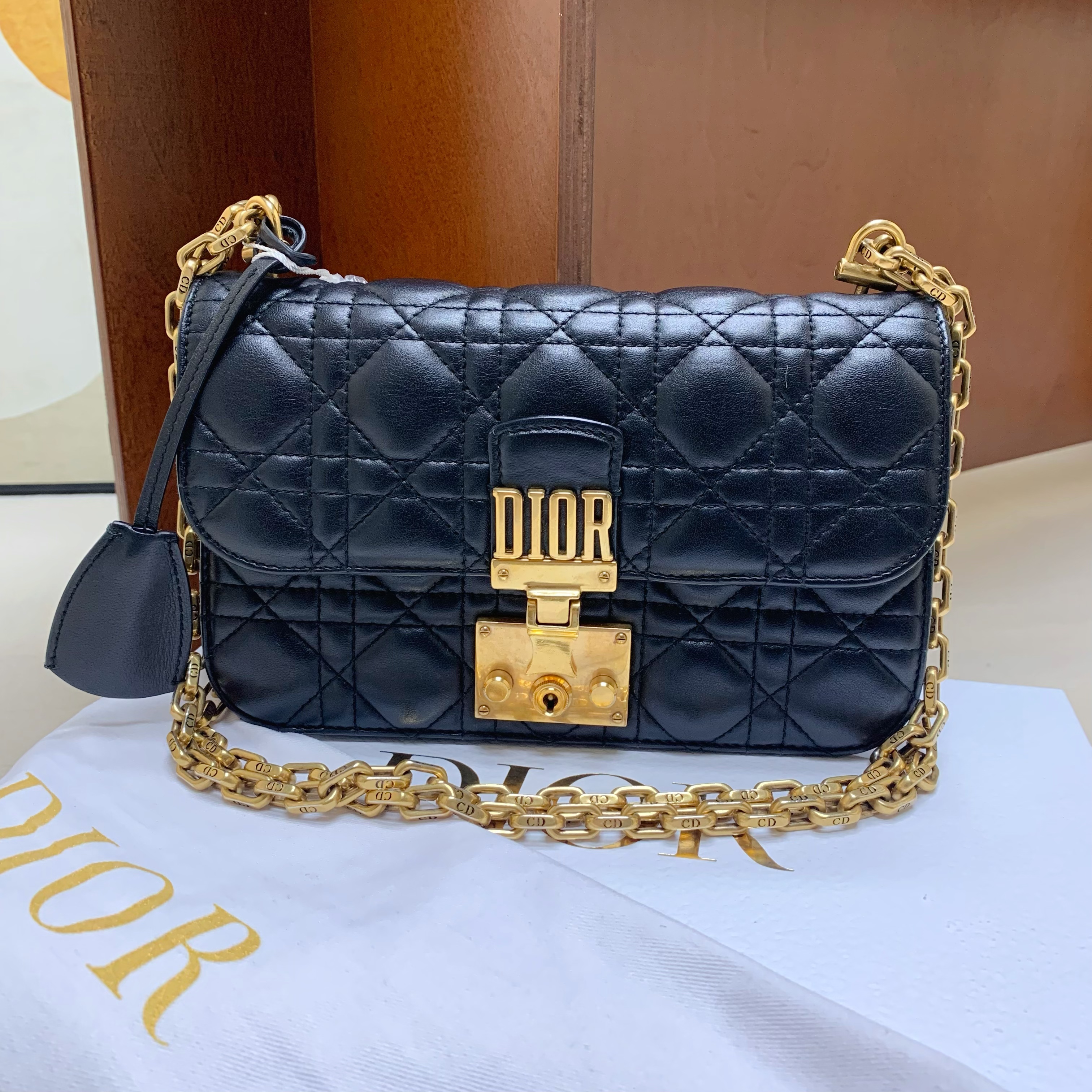 95新 DIOR/迪奥 【98新】dior diorama 在售-2677