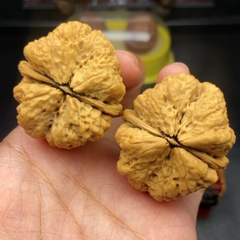 【闪购商品】文玩核桃把件40尺蝴蝶蟾