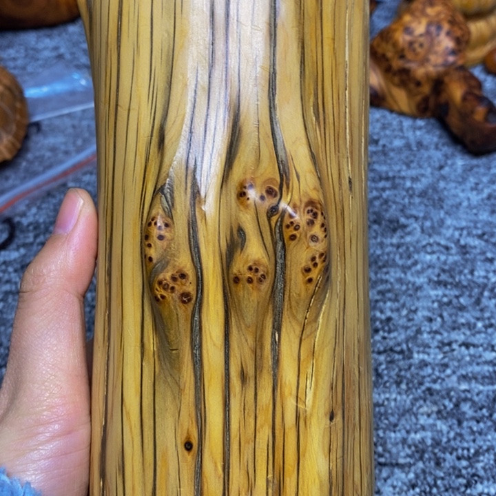 柏木（崖柏）崖柏345