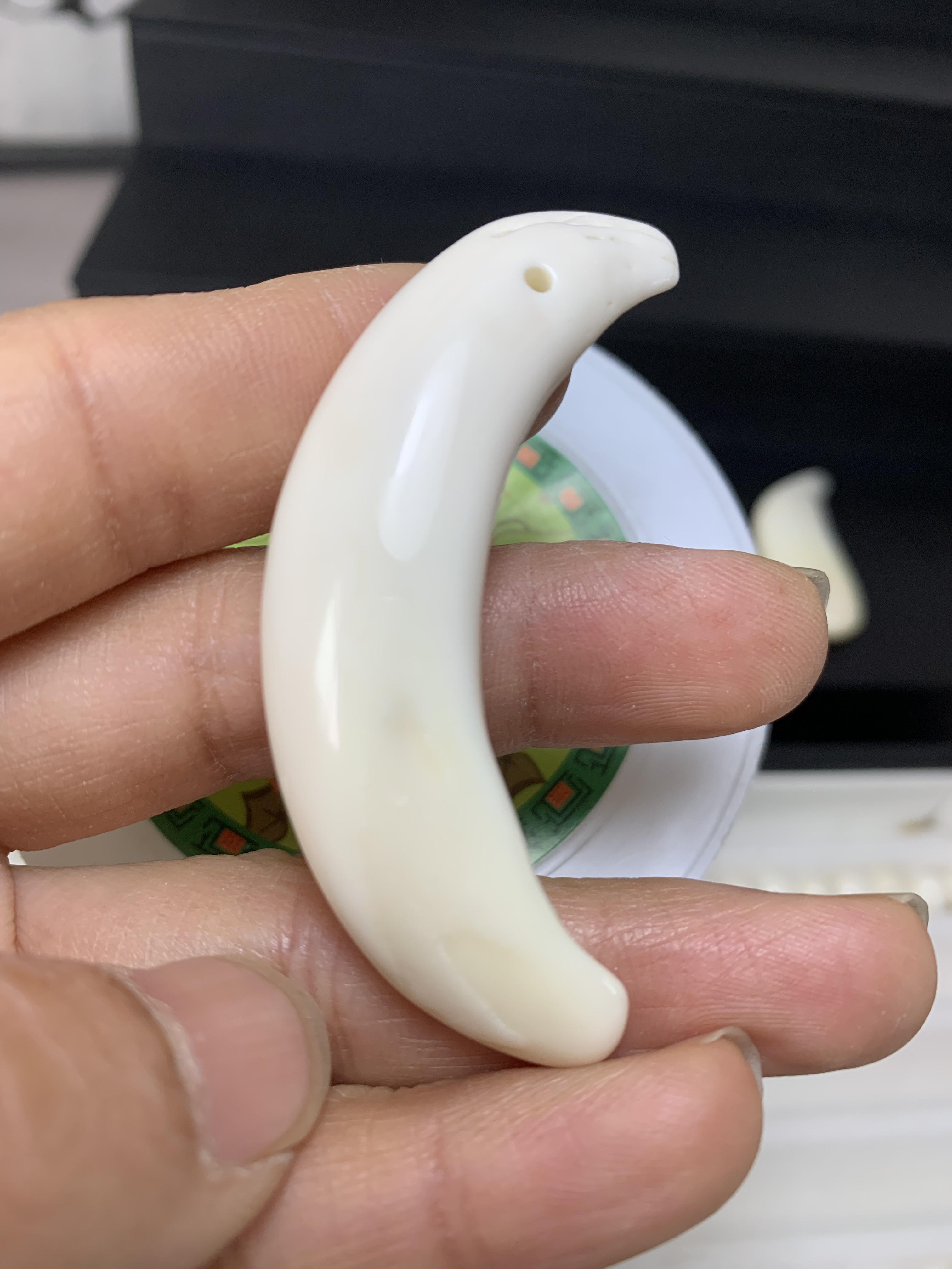 猪牙实心原牙一根