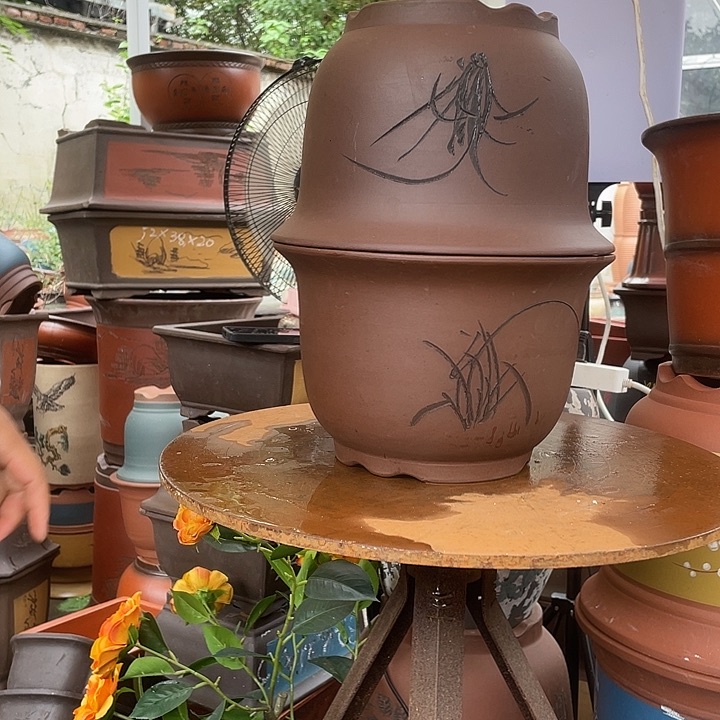 21+21平角金钟花盆紫砂花盆