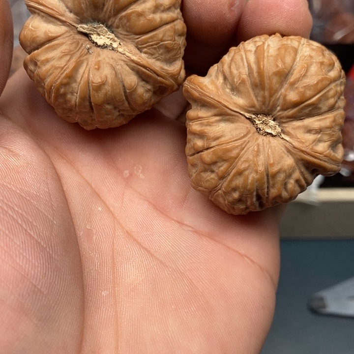 t***文玩核桃吊坠南瓜墩