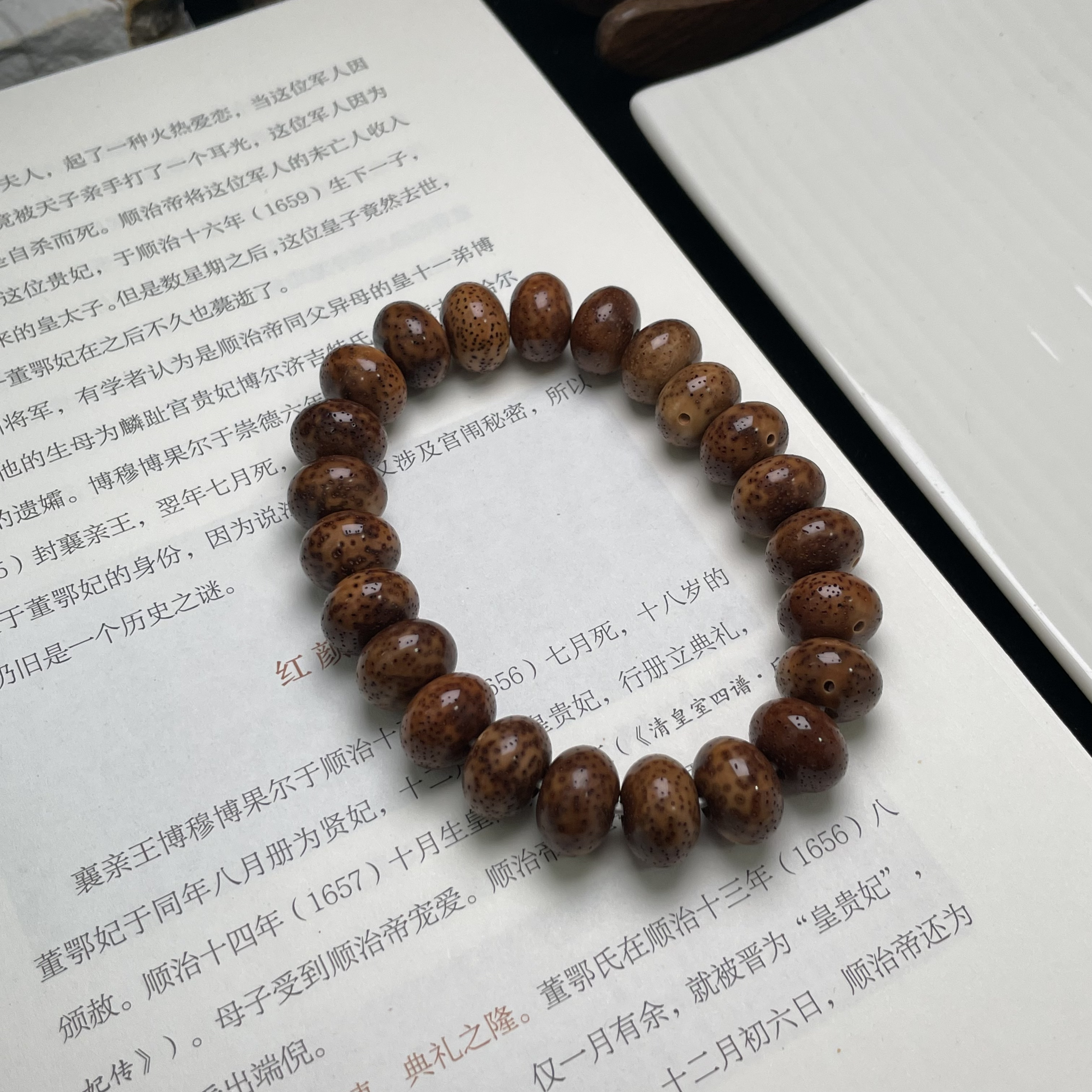 9/13苹果珠手串 海南星月菩提陈籽虎皮 月朗星稀小细星 高油高密