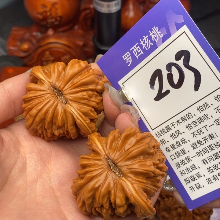 桃核吊坠47四座楼203号牌