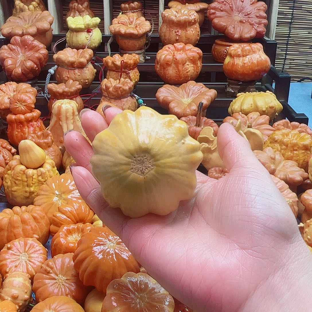 *****大叶紫檀（黑酸枝木类）