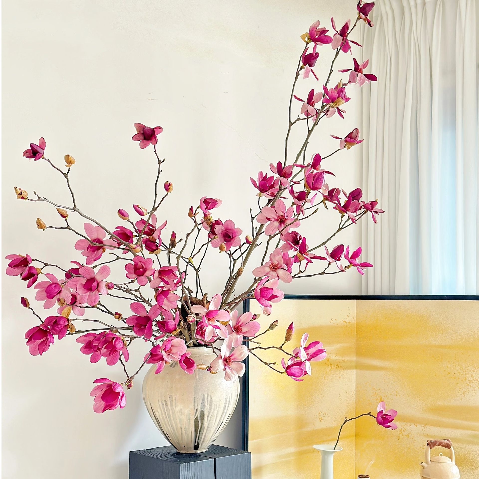 玉兰花水培干枝植物带花苞紫玉兰水养鲜花卉室内好养耐寒绿植