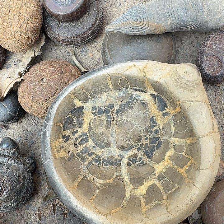 有***鱼石材龟纹石最低哥