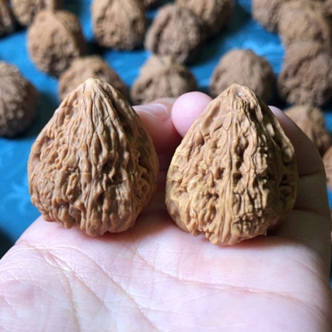 【闪购商品】文玩核桃把件异形有黄