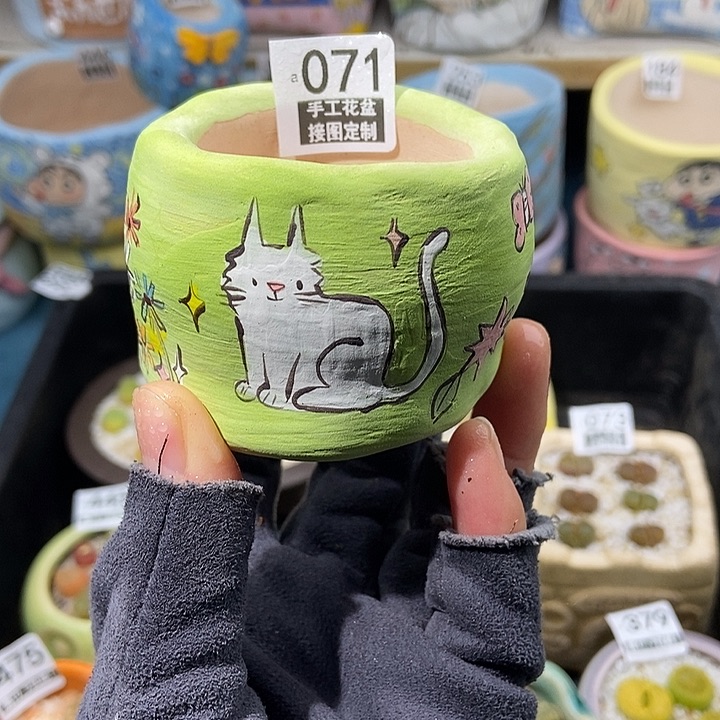 大舅生石花肉锥多肉071